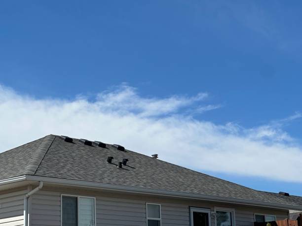 Best Asphalt Shingles Roofing  in Pawhuska, OK